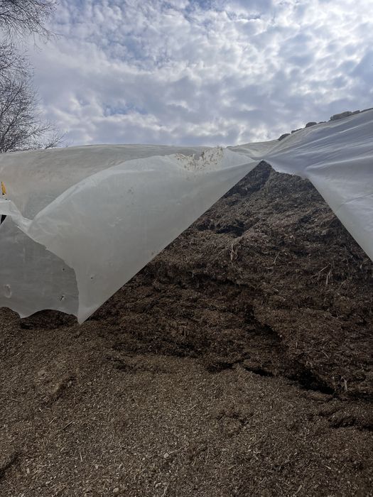 Силос для скота