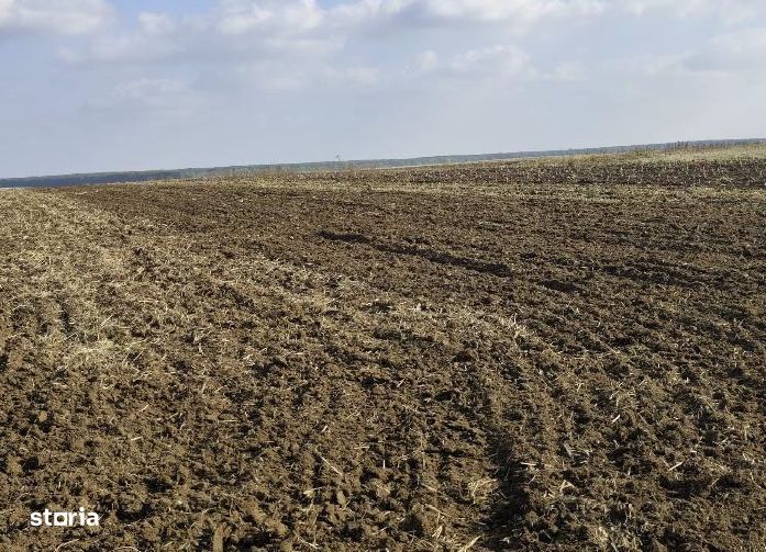 teren extravilan Varvoru de Jos, jud Dolj