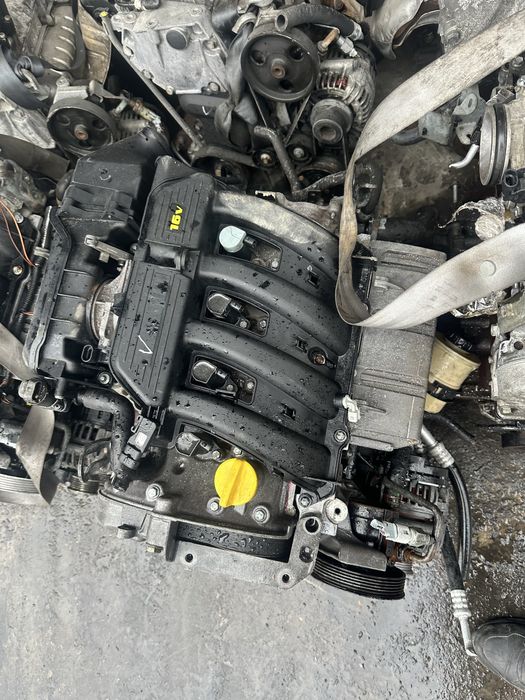 Двигатеь рено лалгус К4м ниссан альмера