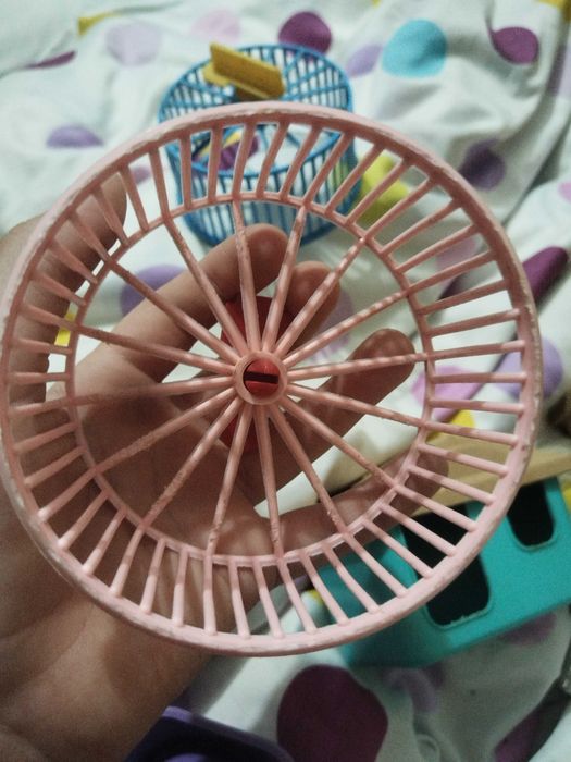 Вещи для грызунов