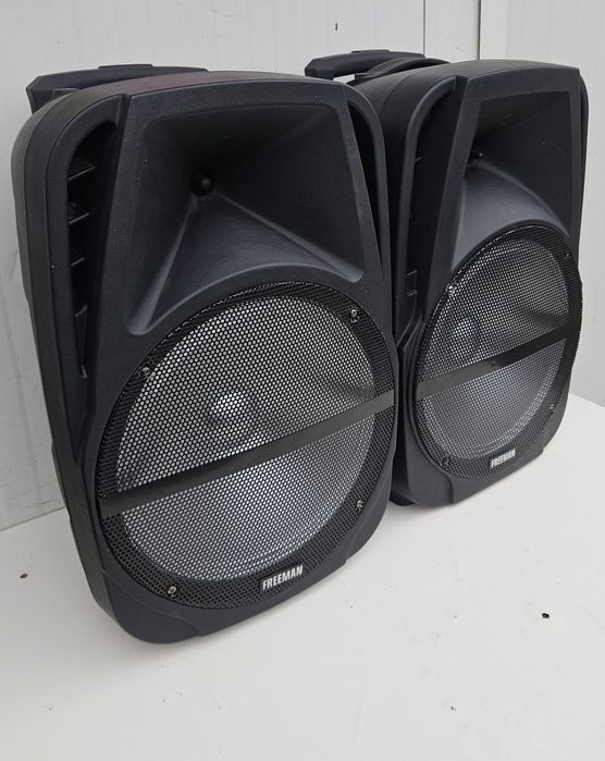 Set boxe Freeman de 12" pasive.