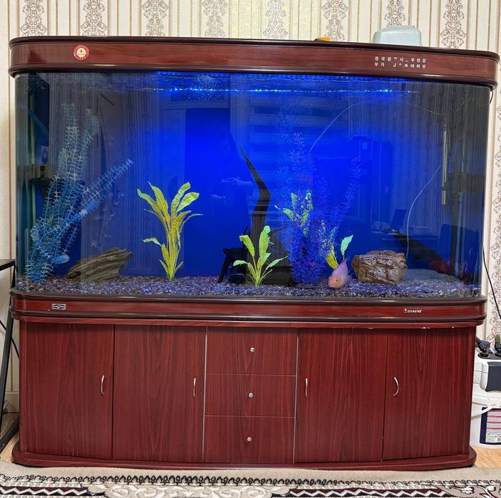 Akvarium Super Holati