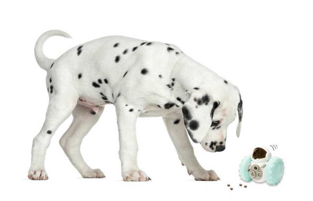 Играчка робот за даване на храна на кучета и котки