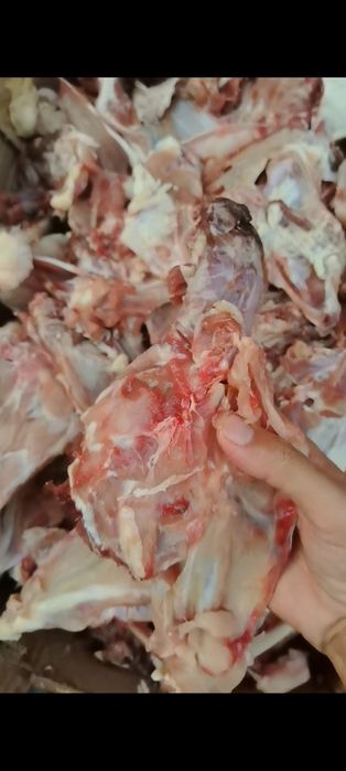 Колбаса для собак и кошек