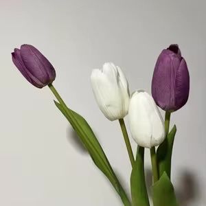 Тюльпаны ОПТОМ и в розницу