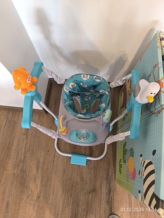 Бънджи chipolino