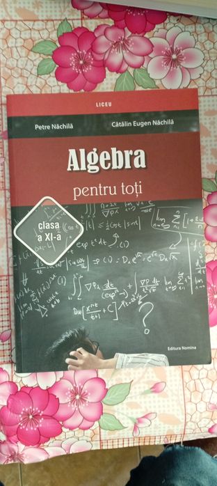 Culegeri mate clasa 11 și 12 si câteva de algebra geometrie