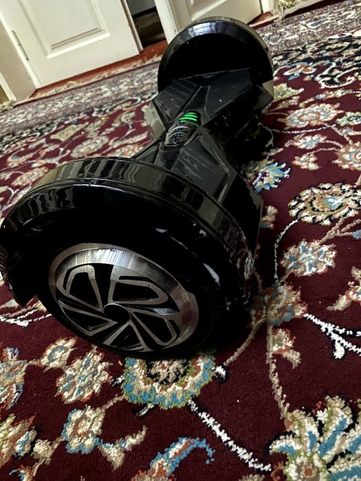 Sigvey Sotiladi Arzon Narxda