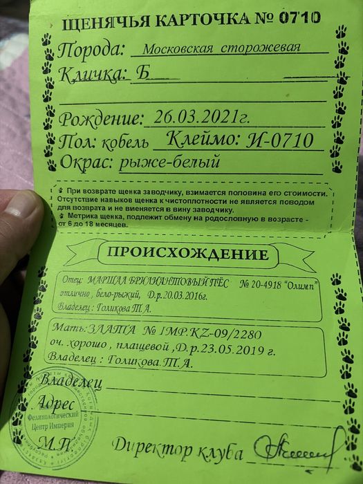 Продаются щенки московской сторожеврй