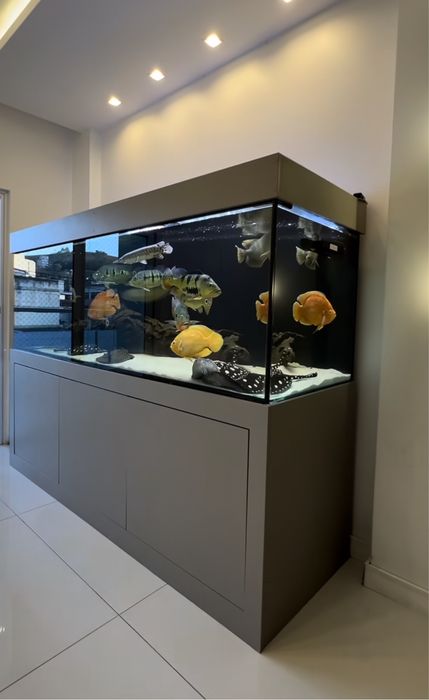 Аквариум на заказ / Akvarium buyurtmaga yashash