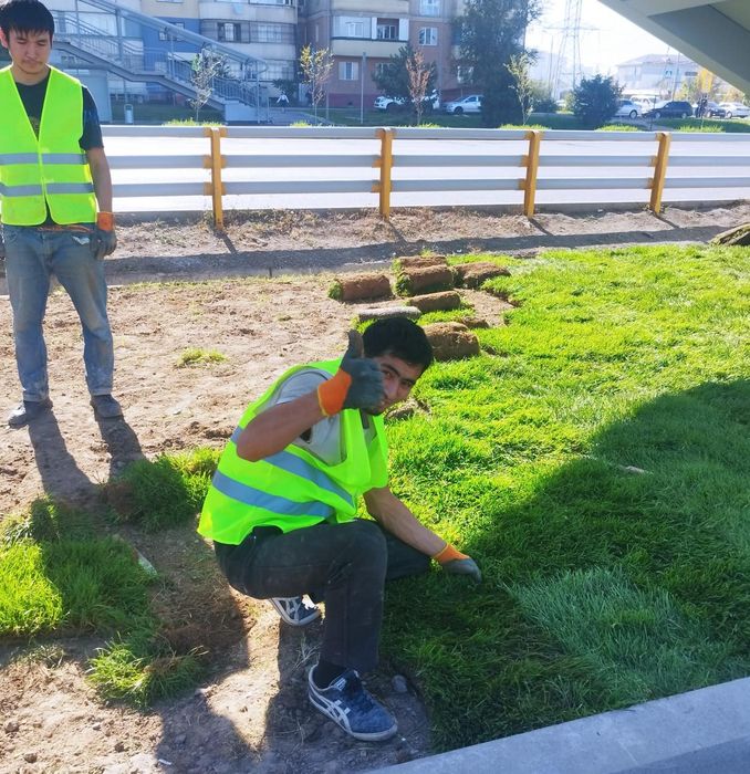 Качественный газон от питомника Алматы