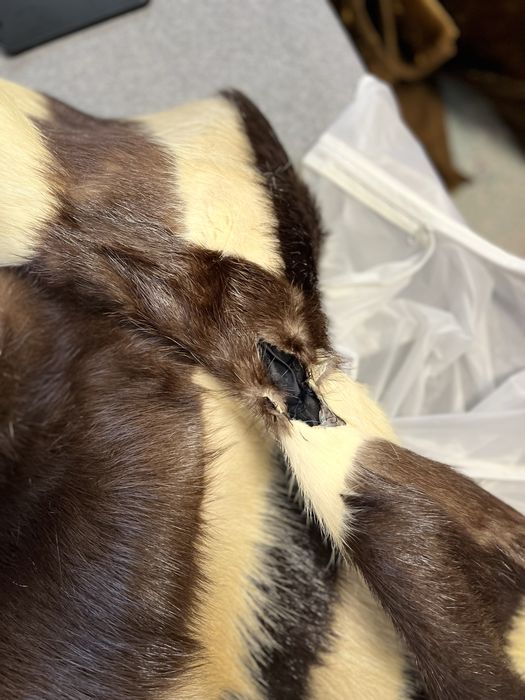 Haina si caciula din blana de nutrie facuta la croitor 54