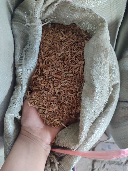 Продам пшеницы..