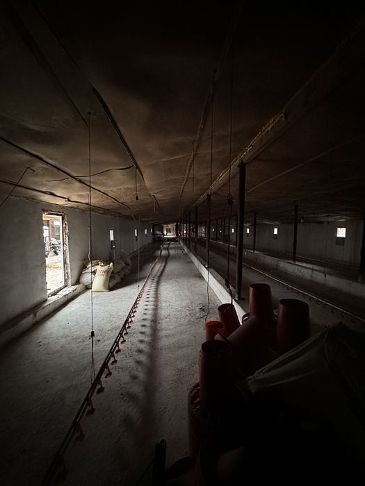 Ferma sotiladi 30 tonnalik marazelnik 10 000 ta broler boqishga joy bo