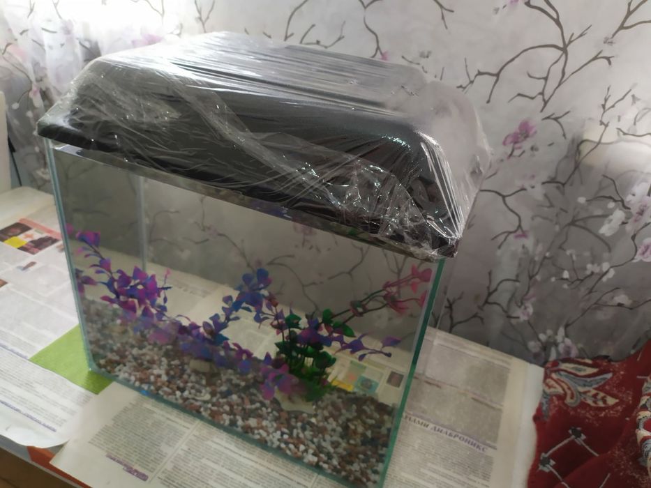 Новый аквариум + комплект и рыбки.