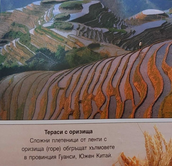 Чудесата на света