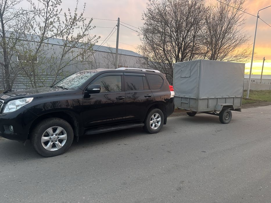 Скотовоз пееевозка КРС МРС Лашади