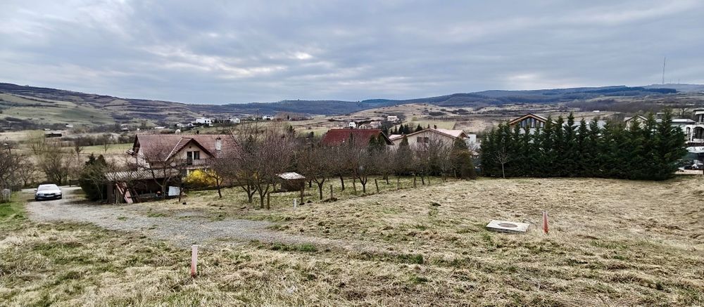 Vand teren în borhanci