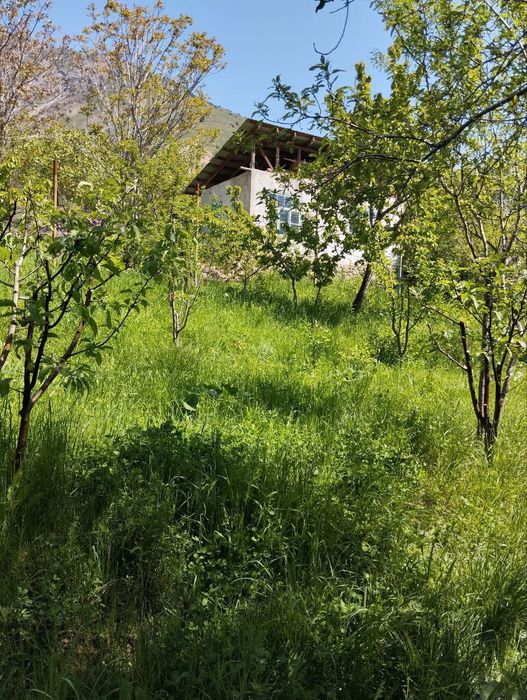 Йер сотилади 16 сотих