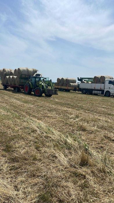 Lichidare Ferma Bovine Charolais Vaci Bio Utilaje Tractor Balotiera