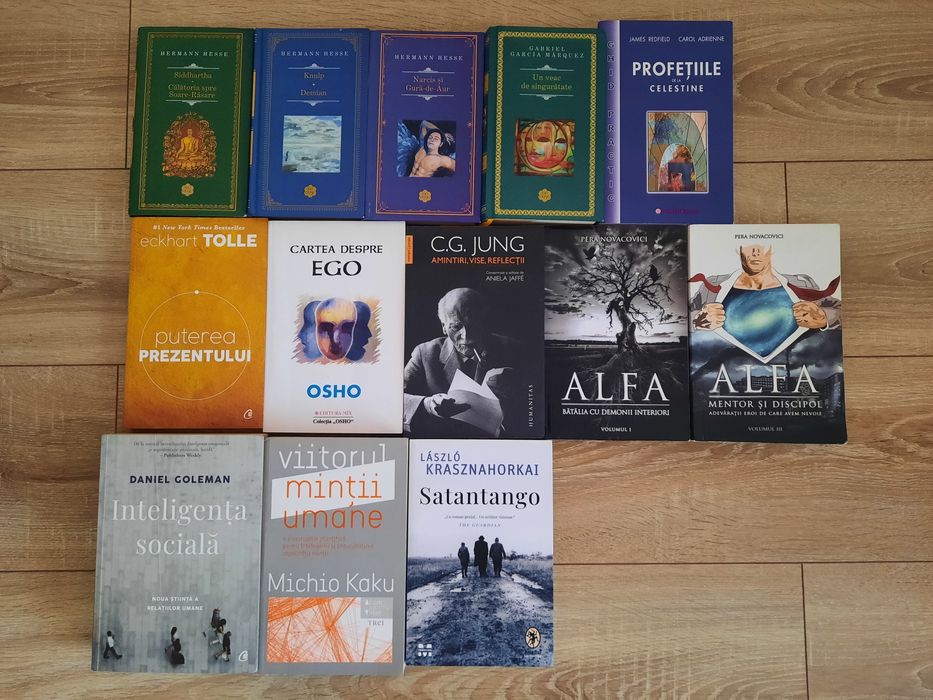 Cărți dezvoltare personală + altele