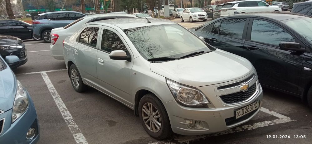 Кобальт серебристого цвета 2024 г.в