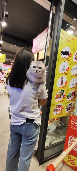 Vyazka uchun telefon qilila