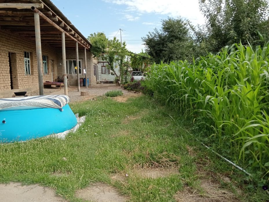 Uchaska sro'chna sotiladi