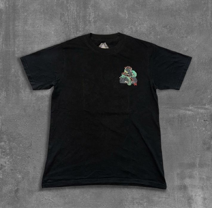 Palace x Arcteryx Тениска