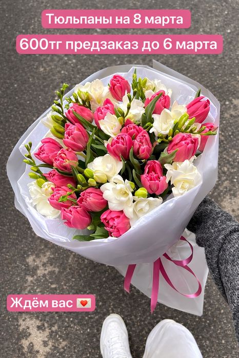 Продам  тюльпаны