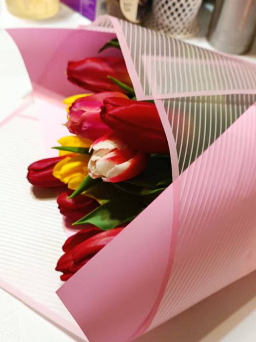 Тюльпаны в Шымкенте