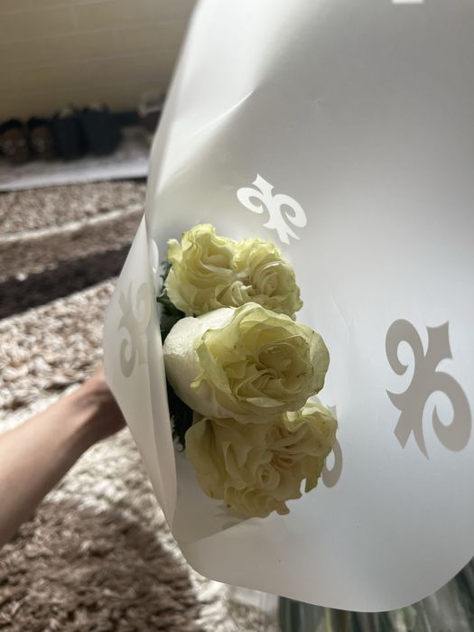 цветы розы голландские