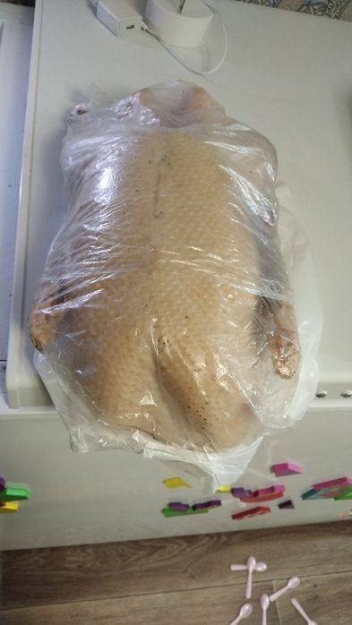 Домашние гуси вкусные