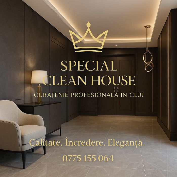 Curatenie profesionala