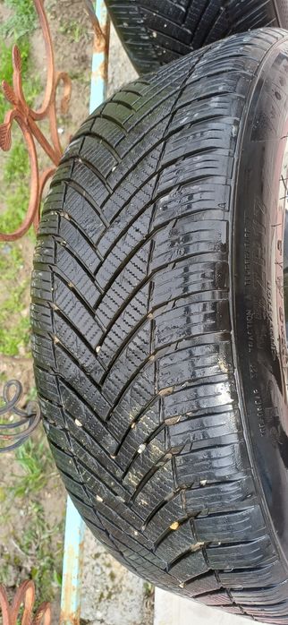 17 balon bitasini yamogi bor