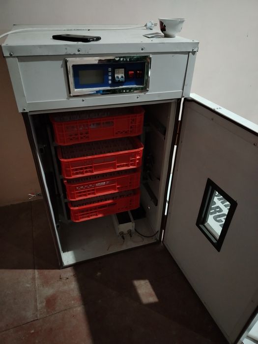 Inkubator sotiladi 350 ta tuxum ketadi