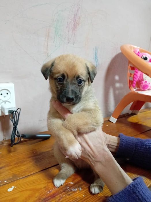 В самые добрые ручки