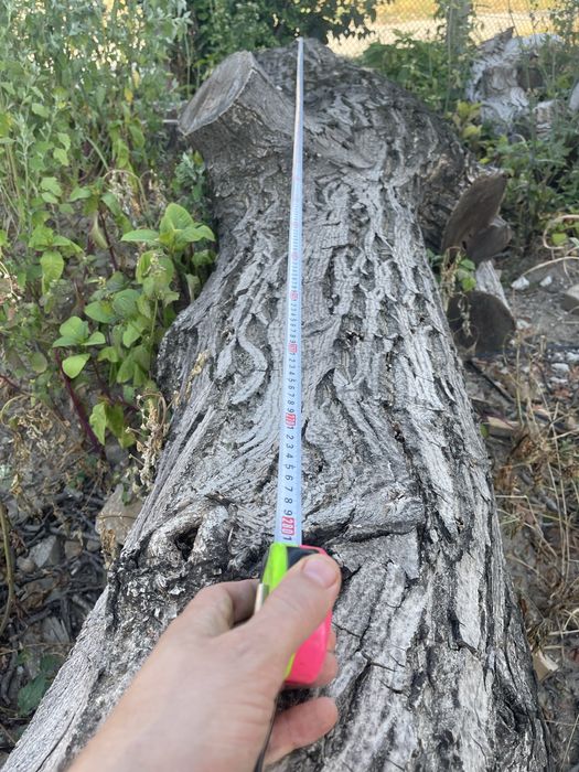 Орех-дърво на трупи