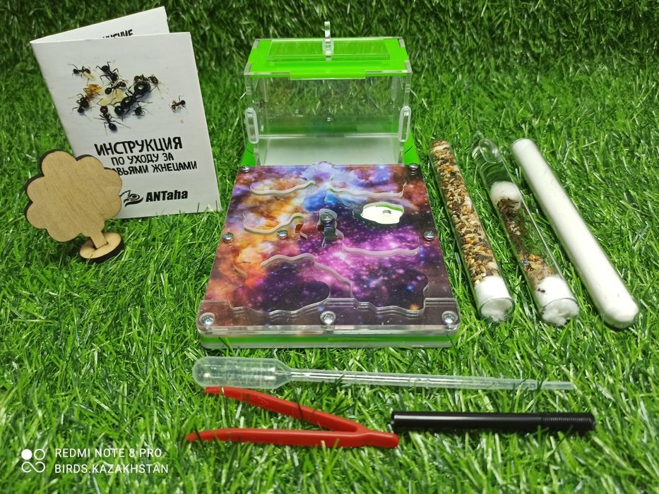 Муравьиная ферма + Муравьи Жнецы