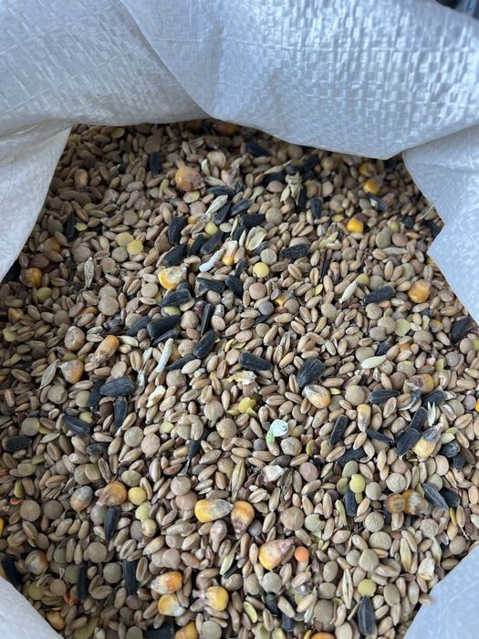 Зерноотходы всех видов