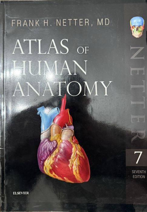 Atlas of Human Anatomy - edition 7