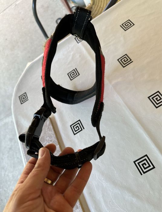 Ham catel 2 luni - 6 luni