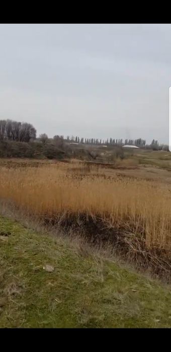 20Га земля село Береке