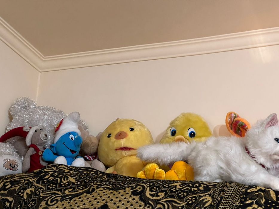 Плюшевые игрушки