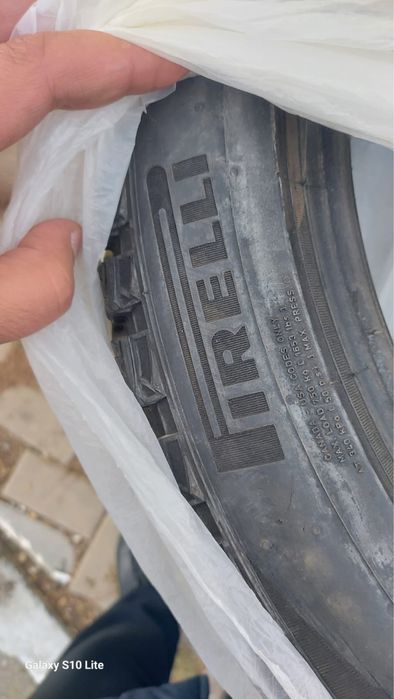 Резина шипованная Pirelli