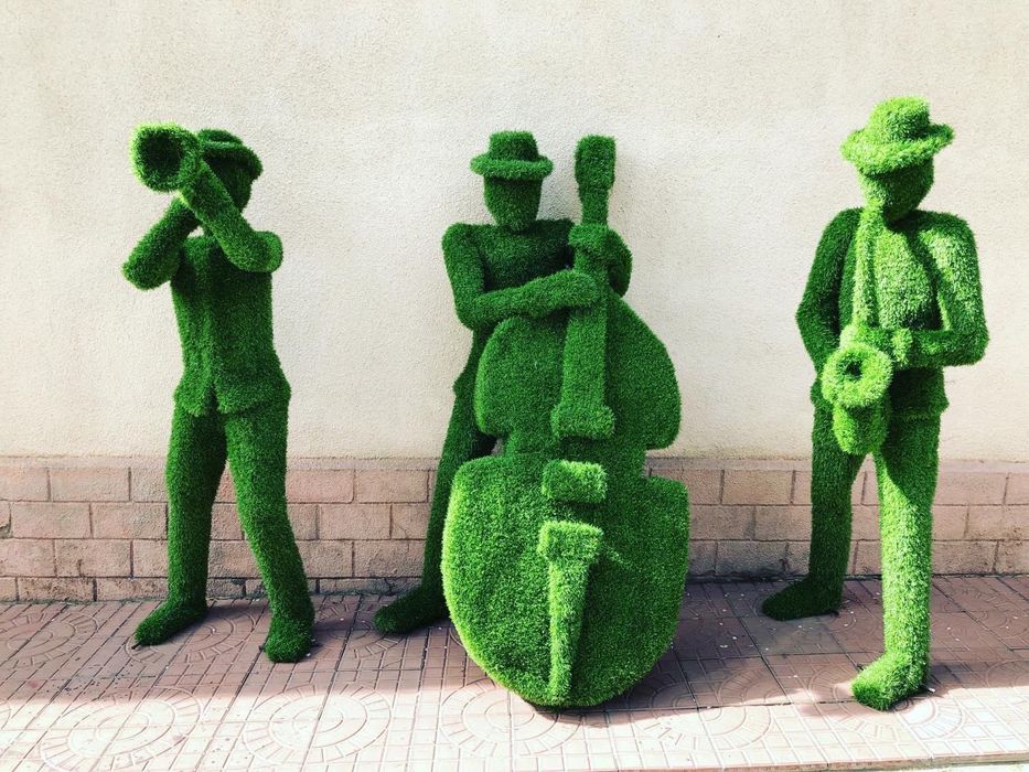 Топиарий на заказ