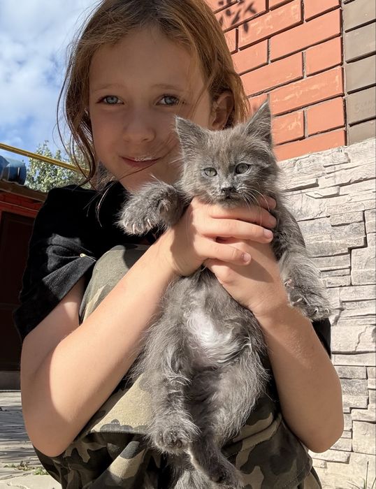 Кошечка ищет семью