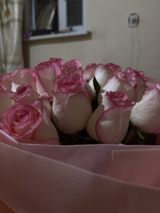 Гүл керектер хабарласыңдар