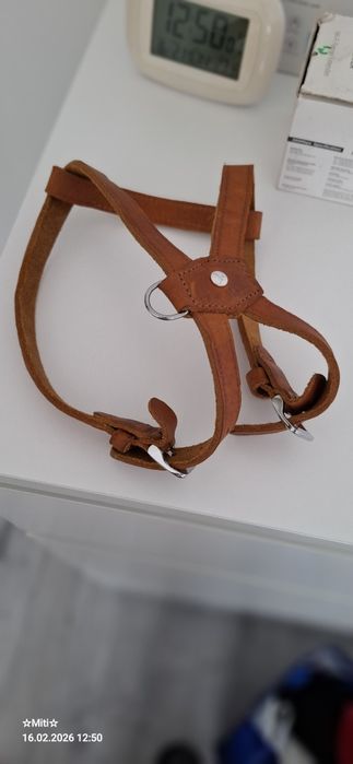 Ham pentru câine talie mică