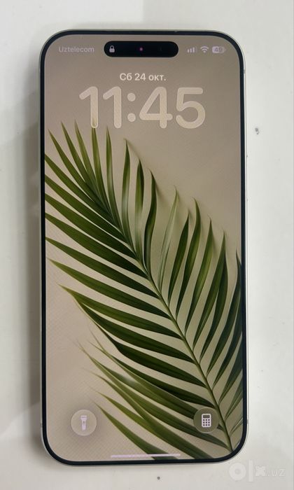 Iphone 17 pro max 256g silver (sim, e-sim)